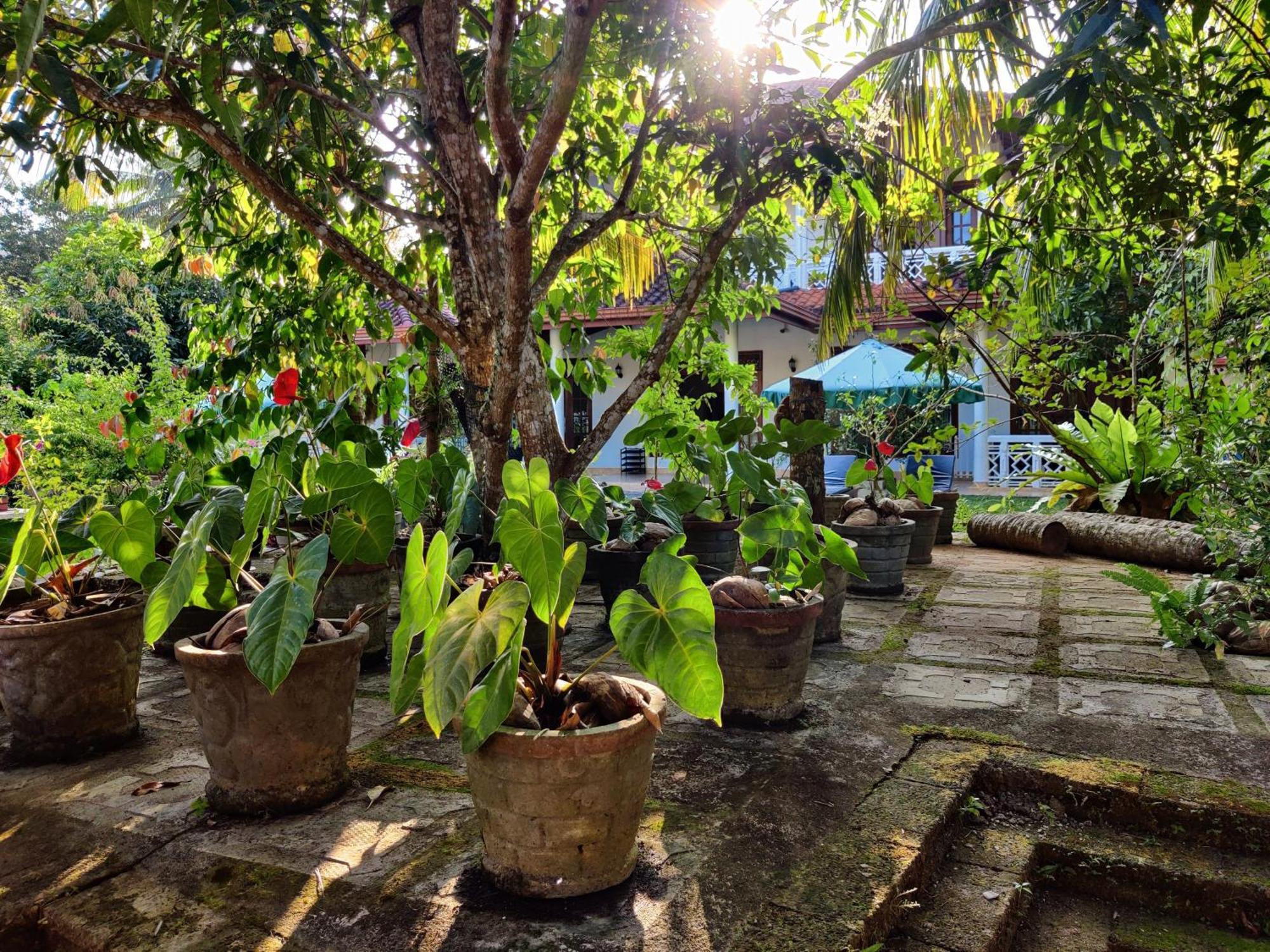 Siroma Villa Bentota Exterior foto
